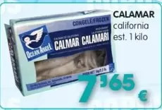 Ocean Angel - Calamar
