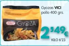 Vici - Gyozas Pollo
