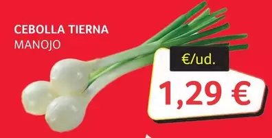 Cebolla Tierna