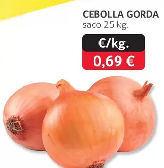Cebolla Gorda