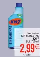 KH-7 - Recambio Sin Manchas