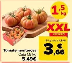 Tomate Monterosa