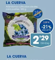 Viña Cuerva - Arándanos Cultivados Ideales Para Postres