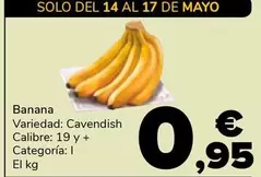 Banana Cavendish