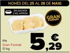 Pit Gran Format