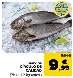 Corvina