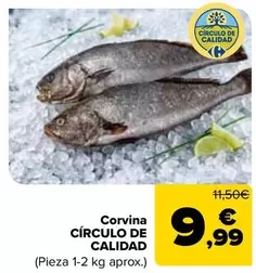 Corvina