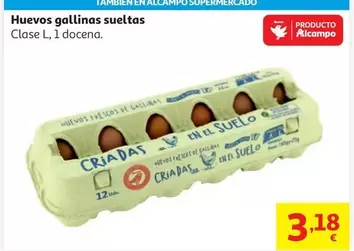 HUEVO GALL. SUELTAS GALLINERO L AUCHAN 1 DOC                