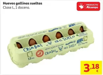 alcampo - Huevos Gallinas Sueltas