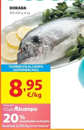 dorada - Dorada
