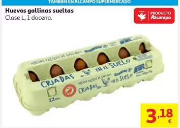 alcampo - Huevos Gallinas Sueltas