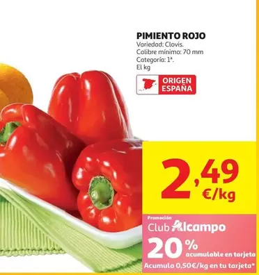 Pimiento Rojo