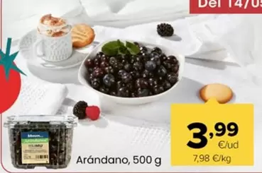 Arándano