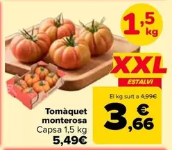 Tomate Monterosa