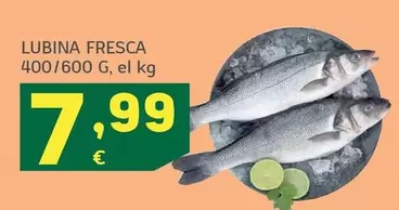 Lubina Fresca