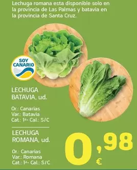 Lechuga Batavia 
