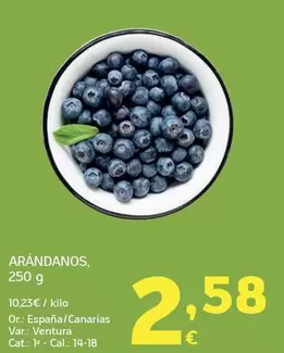 Arándanos 250 G