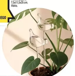 Bolas De Riego