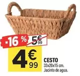 Cesto