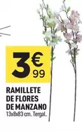 Ramillete De Flores De Manzano