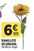 Ramillete De Girasol