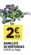 Ramillete De Hortensias