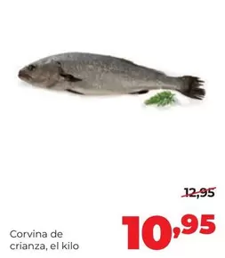 Alimerka - Corvina De Crianza