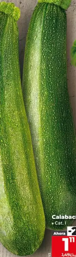 Calabacin