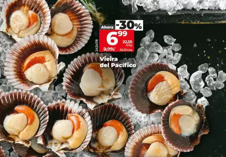 Vieira Del Pacifico