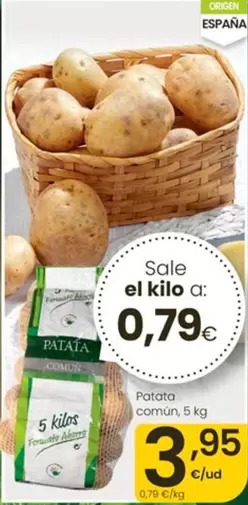 Patata Comun