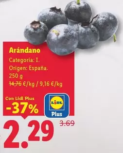 Arándano