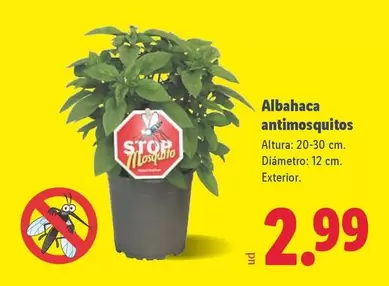 Albahaca Antimosquitos