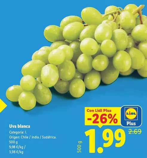 Uva Blanca