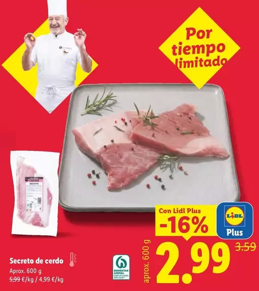 Secreto De Cerdo