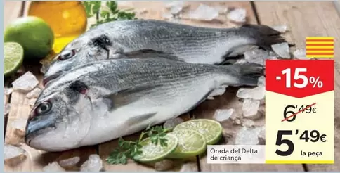 Orada Del Delta De Criança