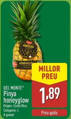 Del Monte - Pinya Honeyglow