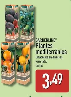 Gardenline - Plantes Mediterrànies