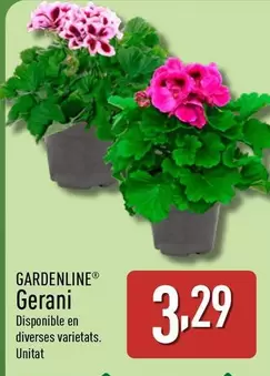 Gardenline - Gerani