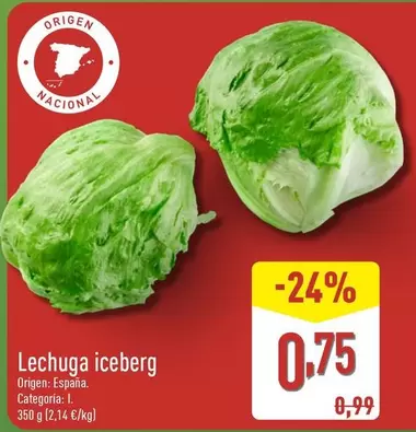 Lechuga Iceberg