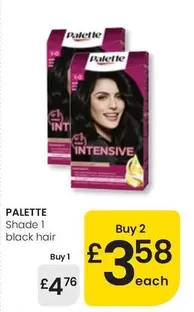 Palette - Shade 1 Black Hair
