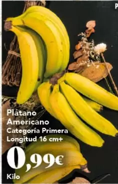 Platano Americano Categoria Primera Longitud 16 Cm+