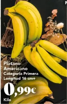 Platano Americano