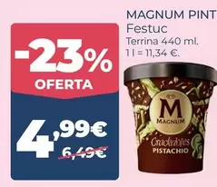 Magnum - Festuc
