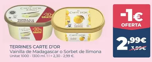 Carte D'Or - Terrines Vainilla De Madagascar O Sorbet De Llimona