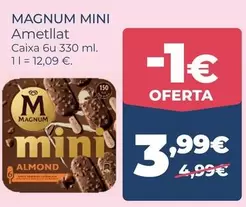 Magnum - Mini Ametllat