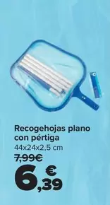 Recogehojas Plano Con Pétiga
