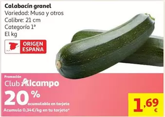 Musa - Calabacin Granel