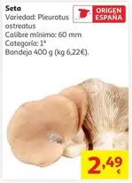 origen - Seta