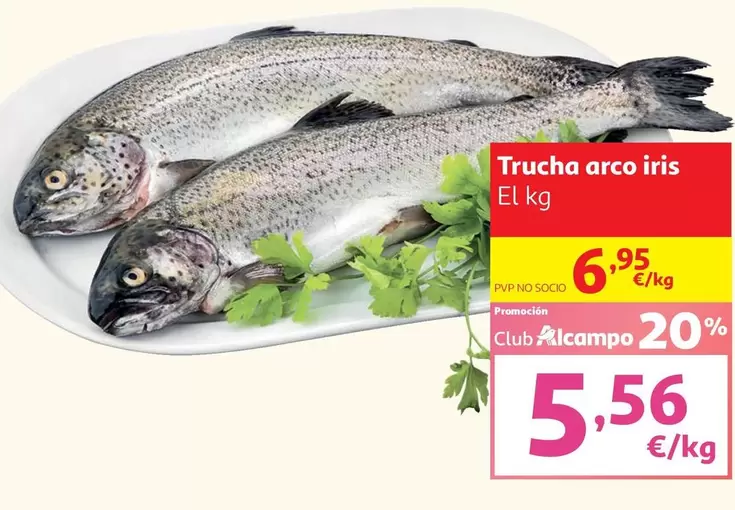 alcampo - Trucha Arco Iris