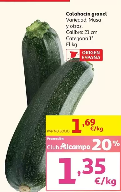 Musa - Calabacin Granel